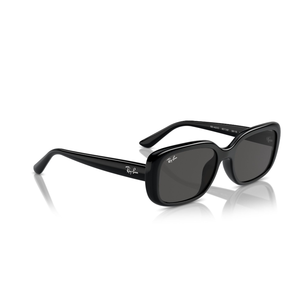 Ray-Ban RB4421D 667787 56 - Imagen 8