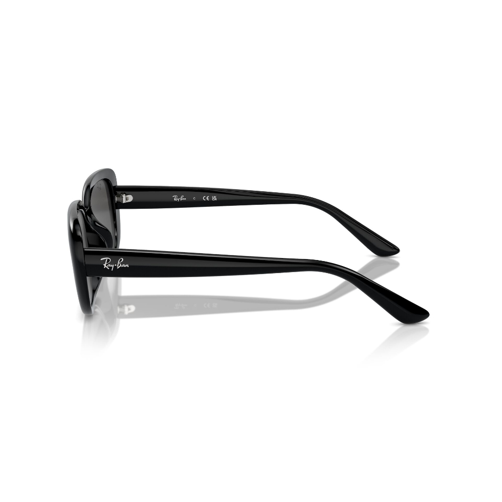 Ray-Ban RB4421D 667787 56 - Imagen 4