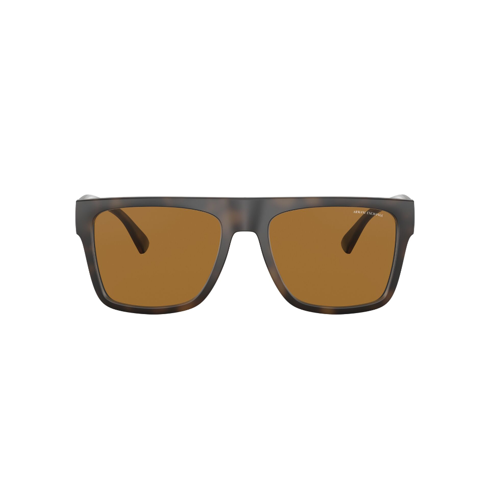 Armani Exchange AX4113S 802983 55 Polarizado