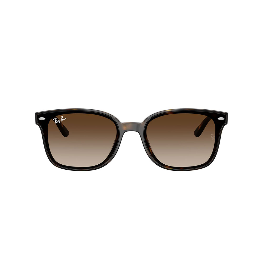 Ray-Ban RB4461d 710/13 64