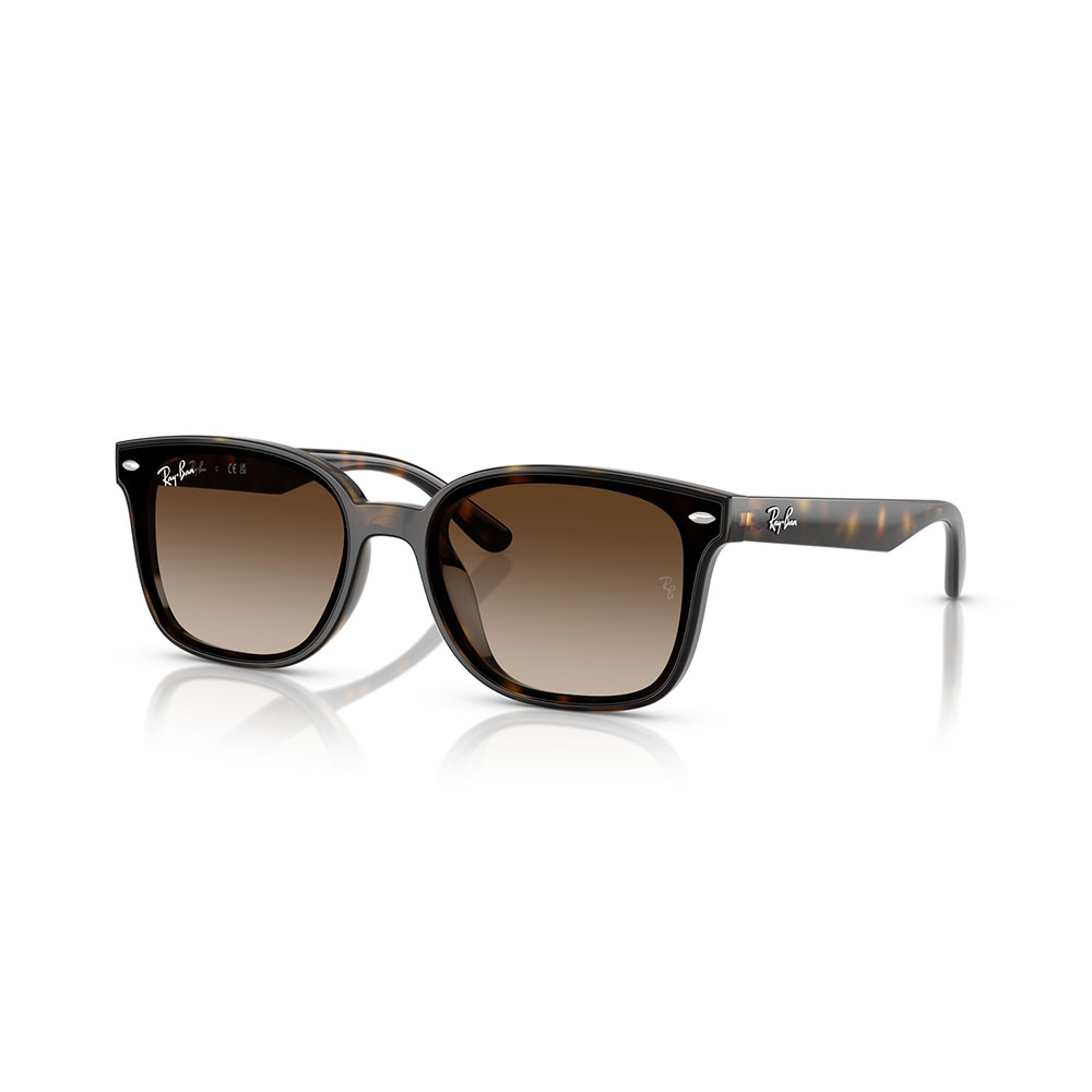 Ray-Ban RB4461d 710/13 64 - Imagen 2