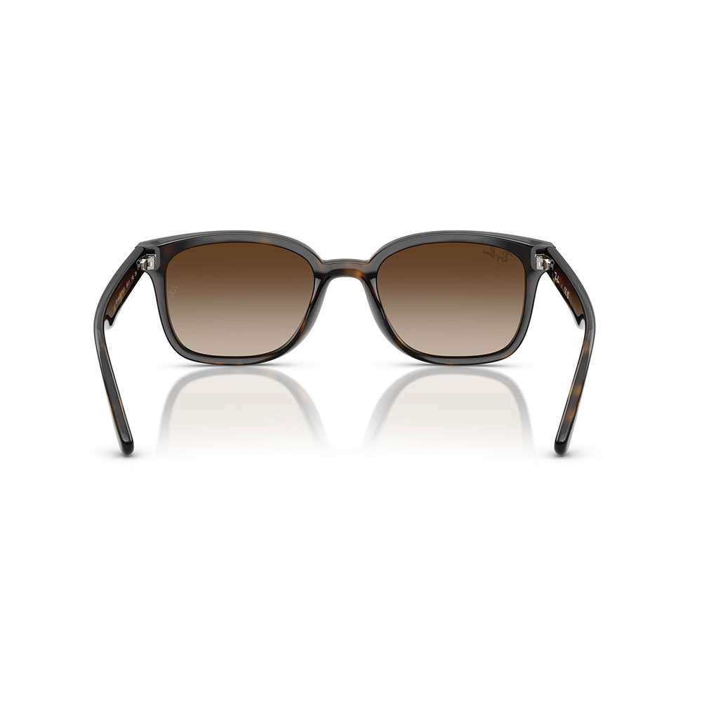 Ray-Ban RB4461d 710/13 64 - Imagen 5